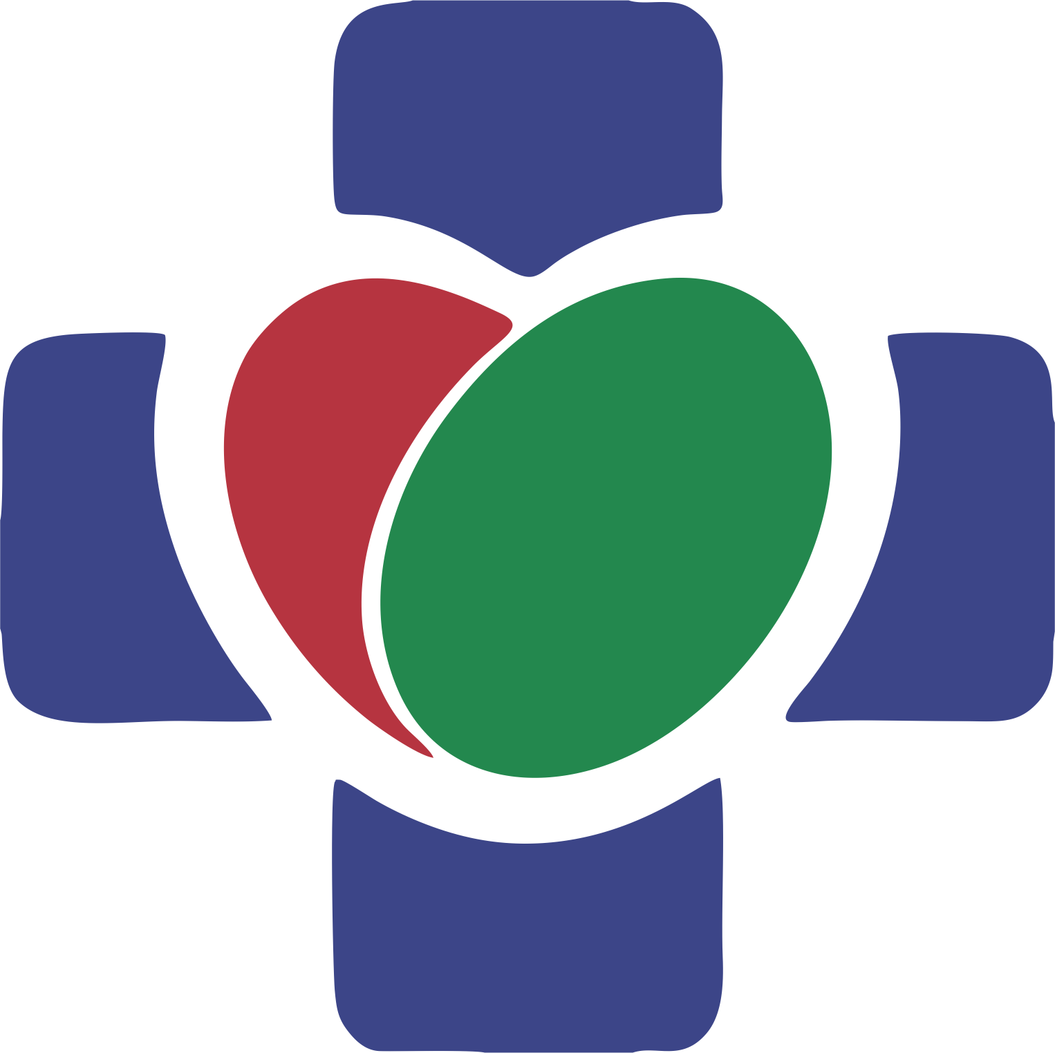 Logo RSDM